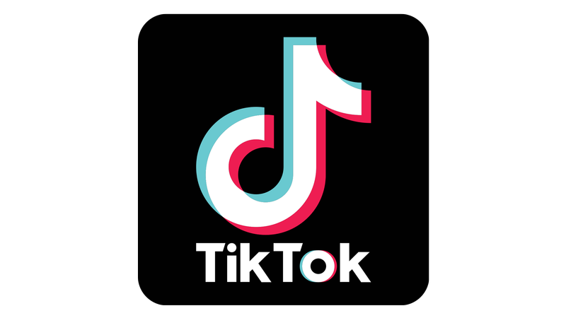 https://www.tiktok.com/tag/